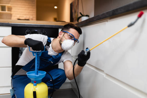 Best Affordable Exterminators  in Donaldsonville, LA