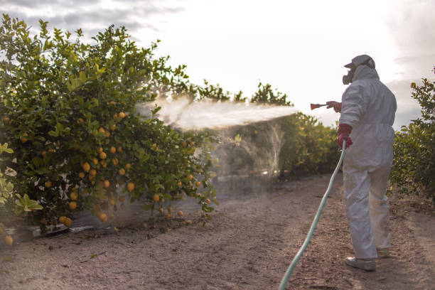 Best Cockroach Control Services  in Donaldsonville, LA