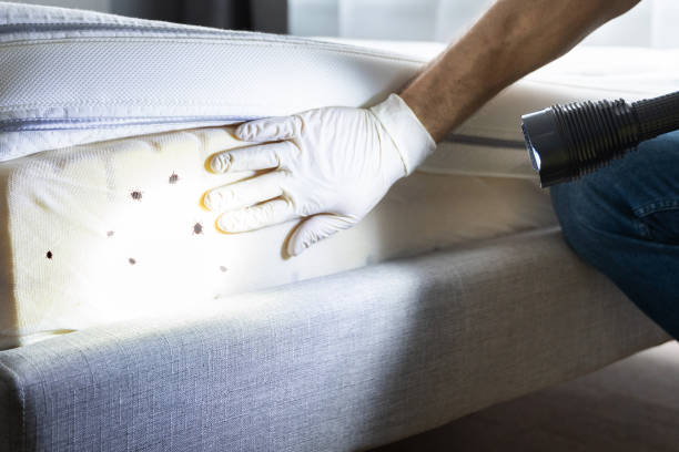 Best Rat Extermination Near Me  in Donaldsonville, LA