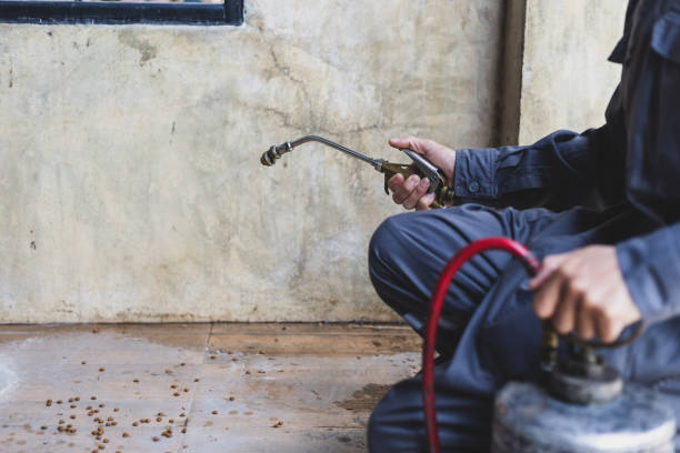 Best Ant Control Services  in Donaldsonville, LA