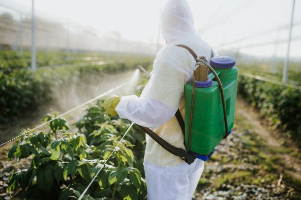 Best Local Pest Control Services  in Donaldsonville, LA
